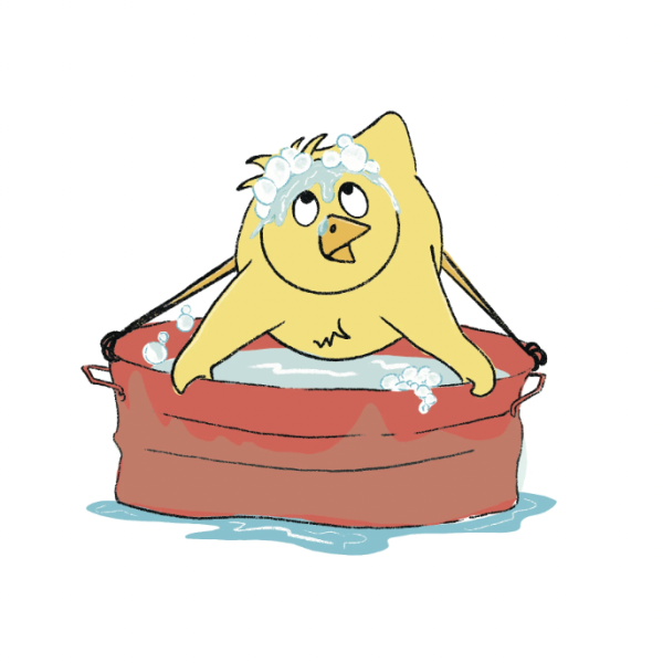 a cartoon chicken straddles a red wash tub with holding on to the edges with both wings and feet to avoid getting wet. Bubbles are on his head and water is on the floor.